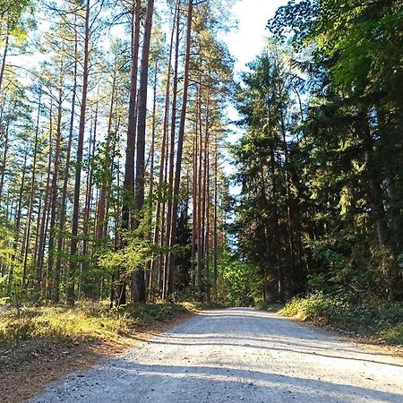 Mazurska Leśniczówka Nowy Zyzdrój Acomodação com café da manhã Exterior foto