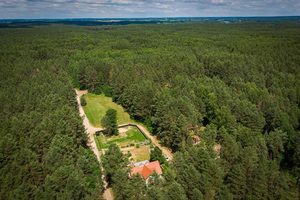 Mazurska Leśniczówka Nowy Zyzdrój Acomodação com café da manhã Exterior foto