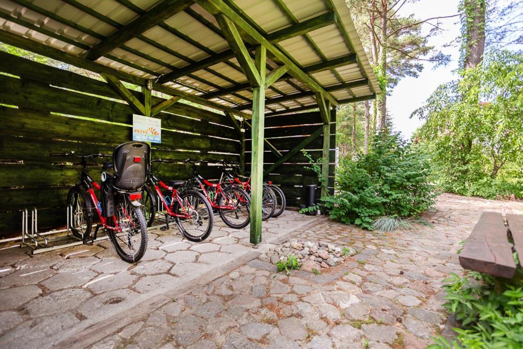 Mazurska Leśniczówka Nowy Zyzdrój Acomodação com café da manhã Exterior foto