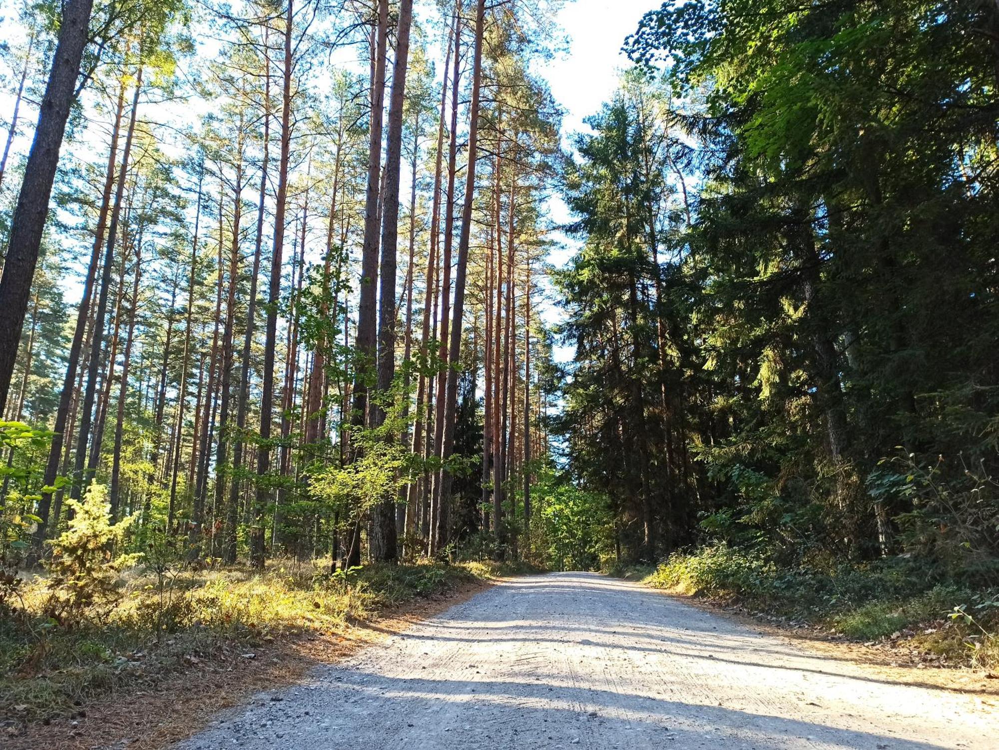 Mazurska Leśniczówka Nowy Zyzdrój Acomodação com café da manhã Exterior foto